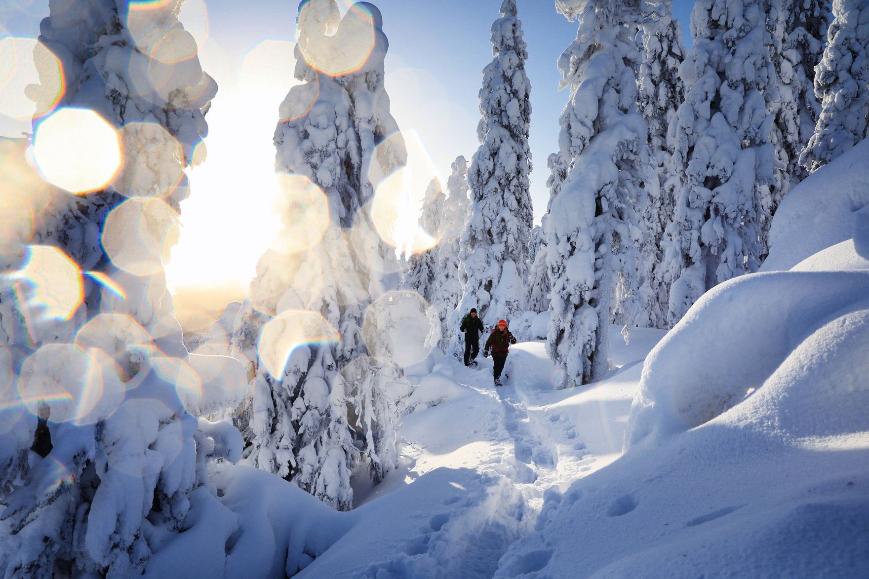 Two people hiking through a snow-covered Nordic forest in bright winter sun.