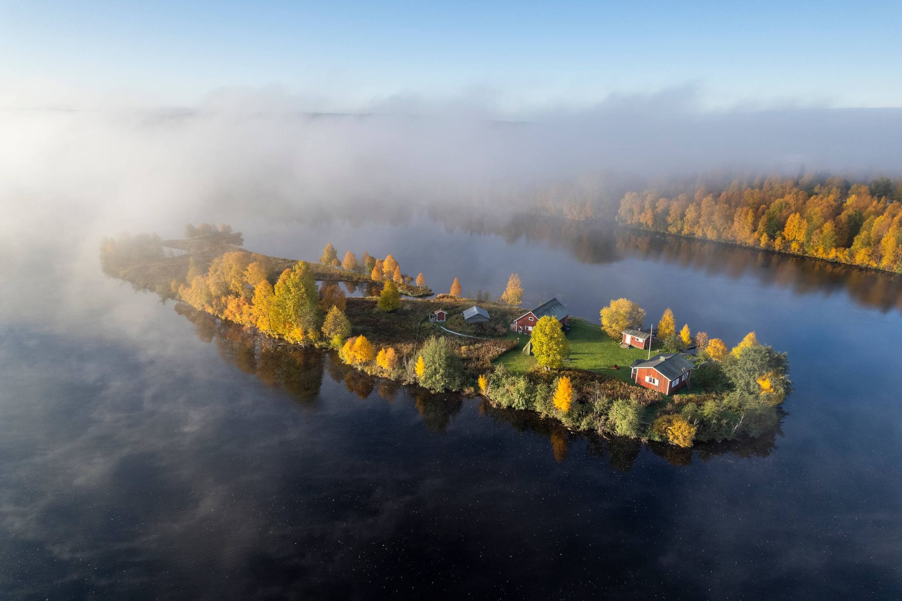 Quiet Nordic forest and lake landscape.